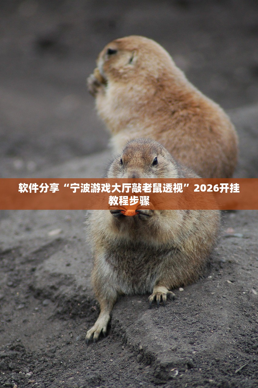 教程分享“新星游大厅开挂”详细分享装挂步骤