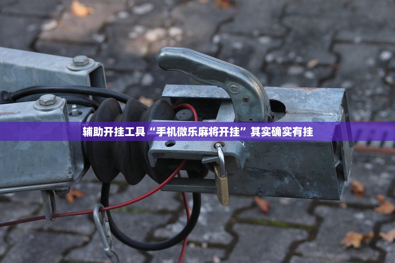玩家必读“超圣大厅开挂辅助器通用版”开挂(透视)辅助神器
