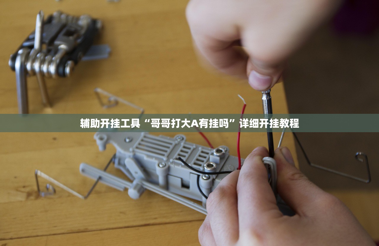 软件分享“新青龙大厅开挂作弊软件”开挂详细教程