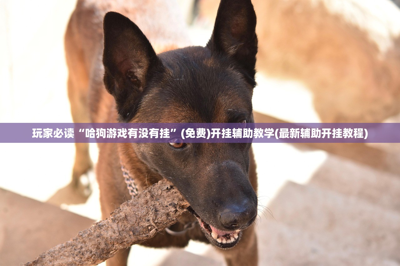 玩家必读“哈狗游戏有没有挂”(免费)开挂辅助教学(最新辅助开挂教程)