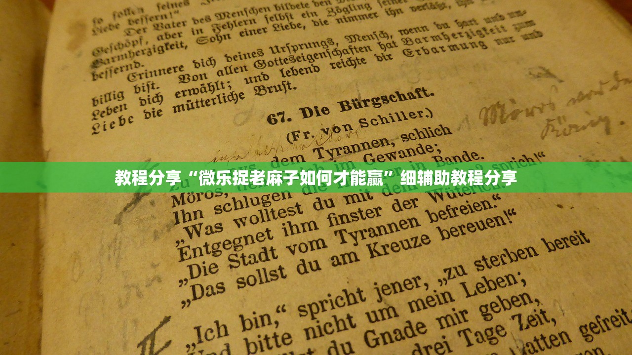 教程分享“微乐捉老麻子如何才能赢	”细辅助教程分享