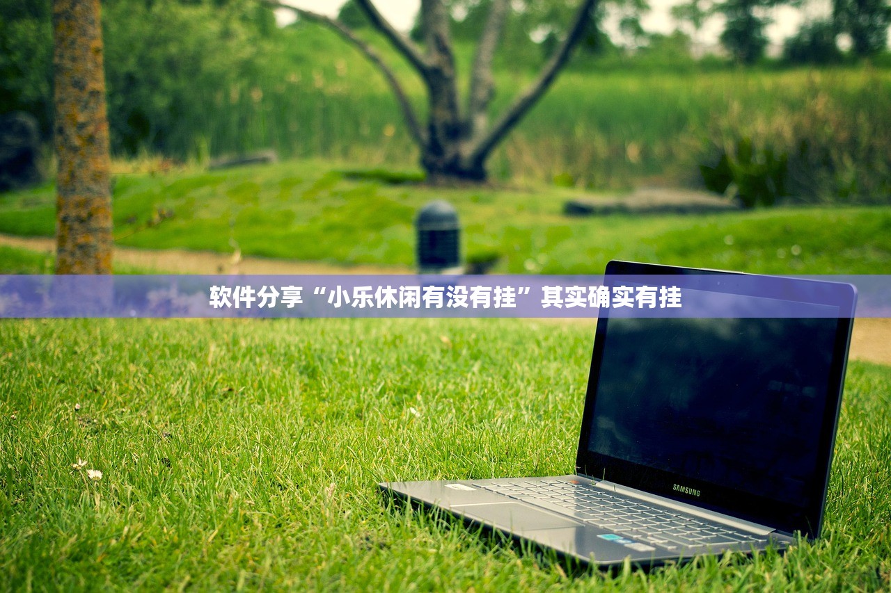 软件分享“小乐休闲有没有挂”其实确实有挂