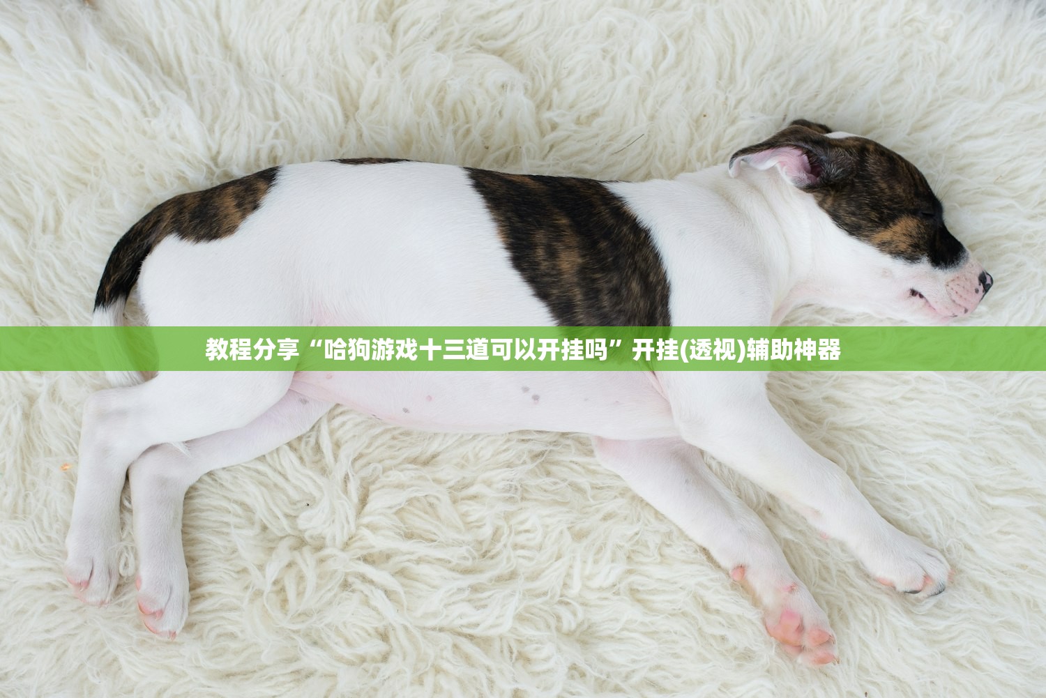使用分享!手机微乐麻将必赢神软件”开挂(透视)辅助教程