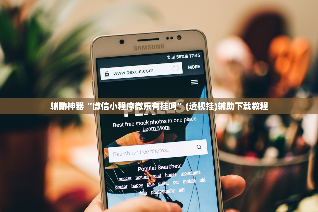 辅助神器“微信小程序微乐有挂吗”(透视挂)辅助下载教程