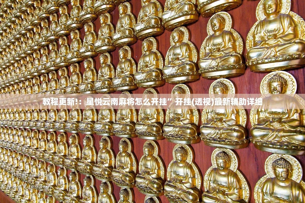 教程更新!：星悦云南麻将怎么开挂”开挂(透视)最新辅助详细