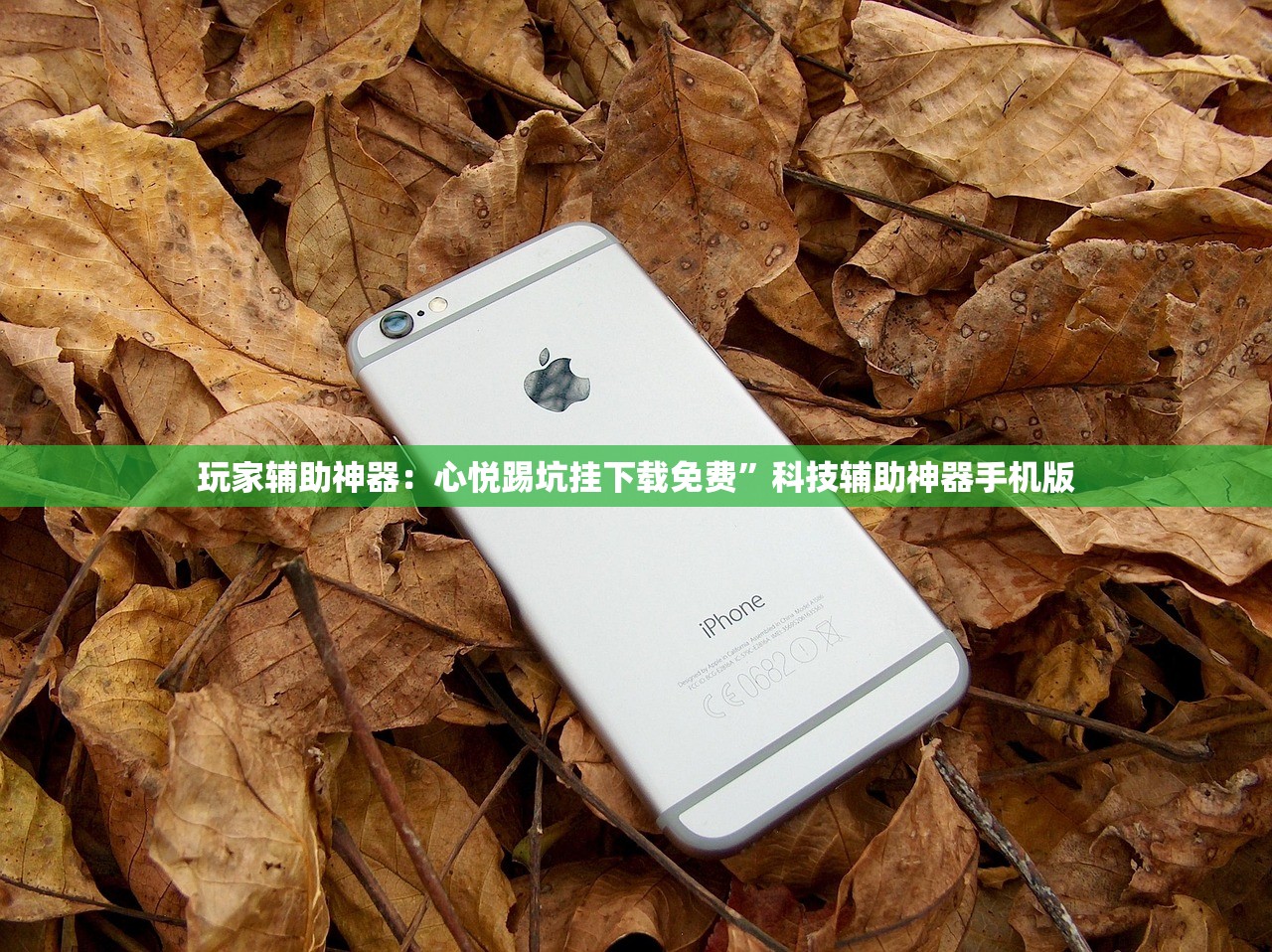 玩家辅助神器：心悦踢坑挂下载免费	”科技辅助神器手机版