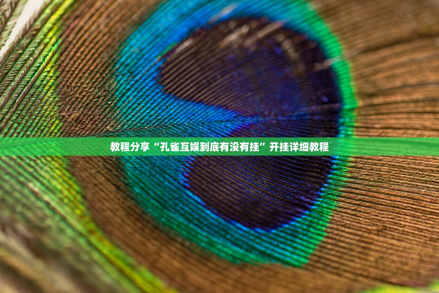 分享实测辅助“微乐麻将小程序赢的技巧”(免费)开挂辅助教学(最新辅助开挂教程)
