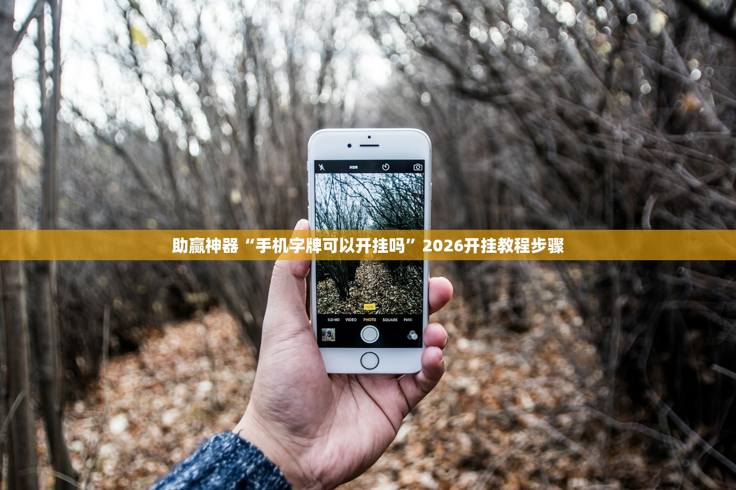 助赢神器“手机字牌可以开挂吗	”2026开挂教程步骤