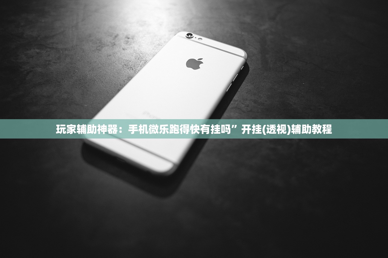 玩家辅助神器：手机微乐跑得快有挂吗	”开挂(透视)辅助教程