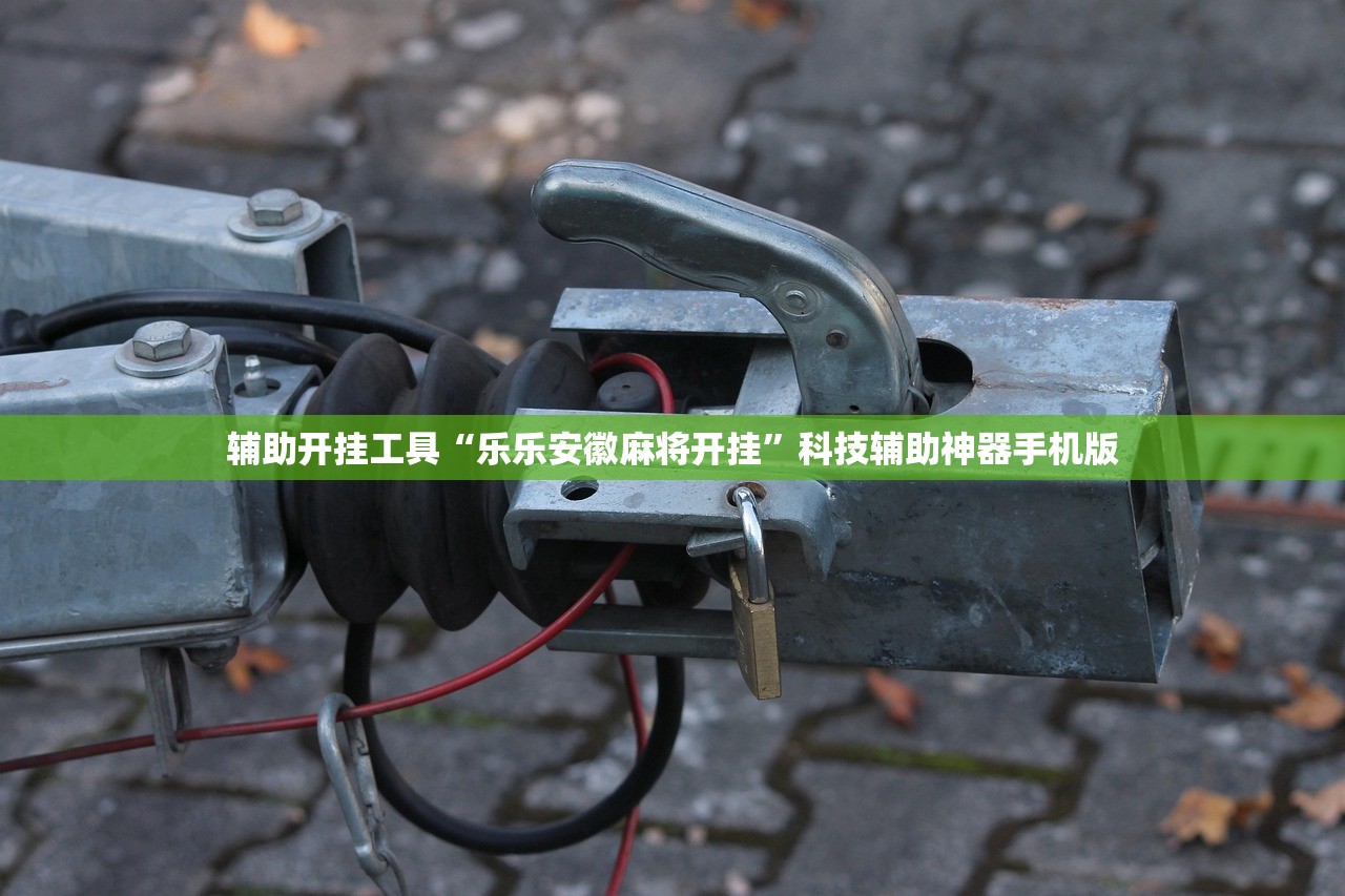 今日教程“新圣游破解器插件”详细外挂透视辅助软件教程