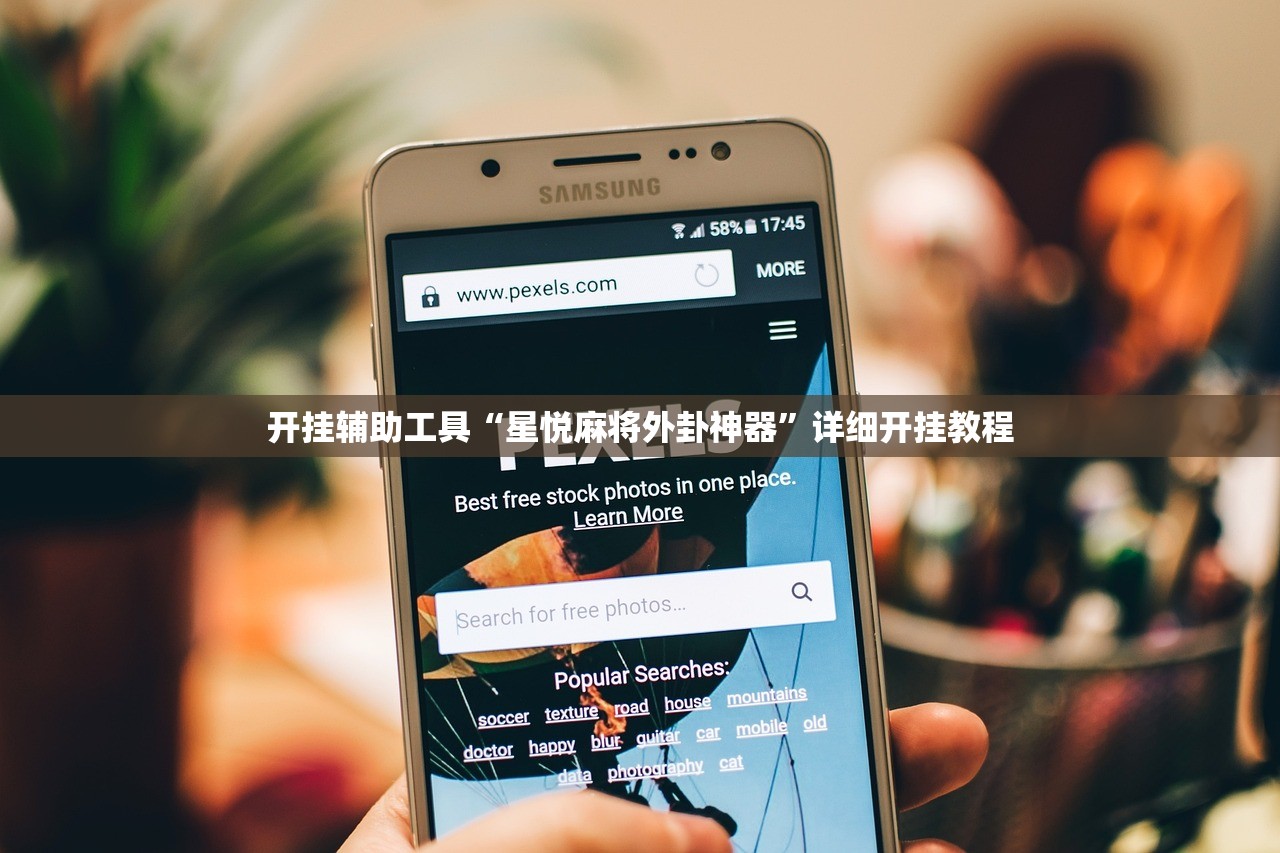 教程更新!：新道游辅助免费”其实确实有挂