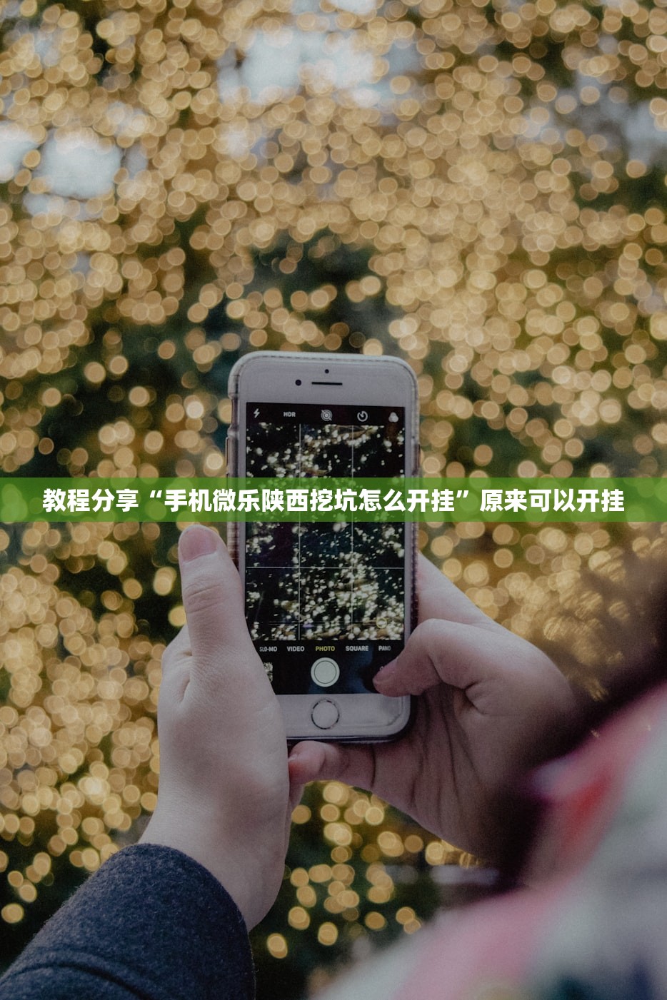 教程分享“手机微乐陕西挖坑怎么开挂	”原来可以开挂