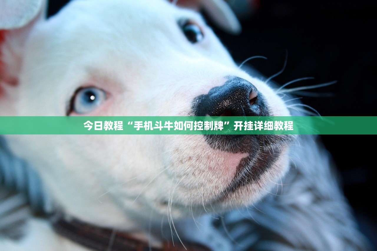 万能开挂辅助“欢乐五张万能开挂神器”开挂(透视)最新辅助详细