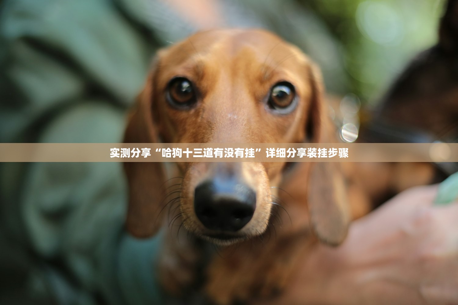 辅助开挂工具“中至打炸辅助器骗局”开挂辅助脚本+详细开挂安装教程