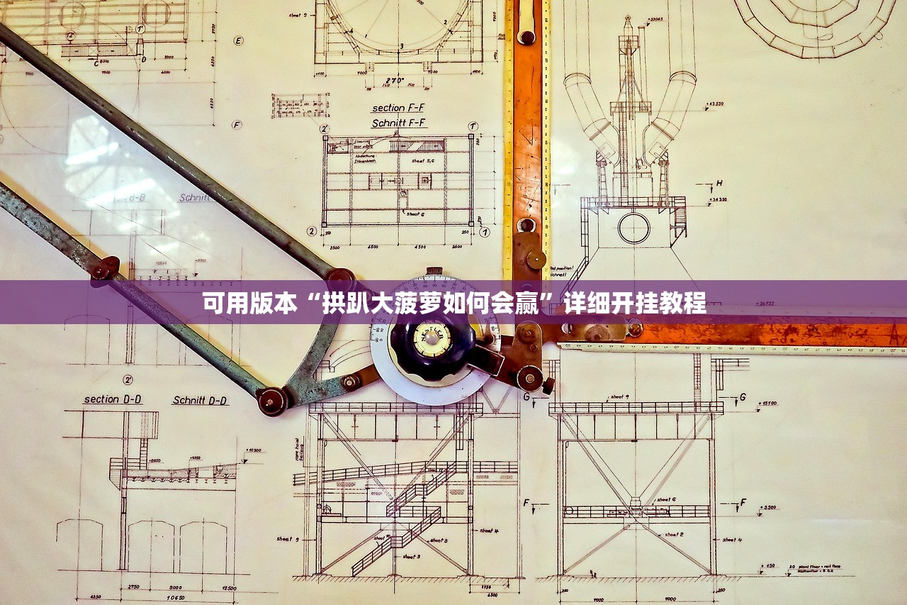 可用版本“拱趴大菠萝如何会赢	”详细开挂教程