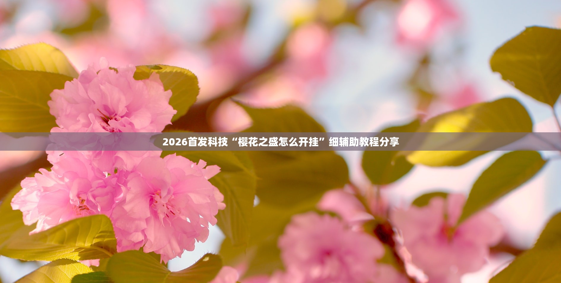 使用分享!掌酷十三张修改器”科技辅助神器手机版