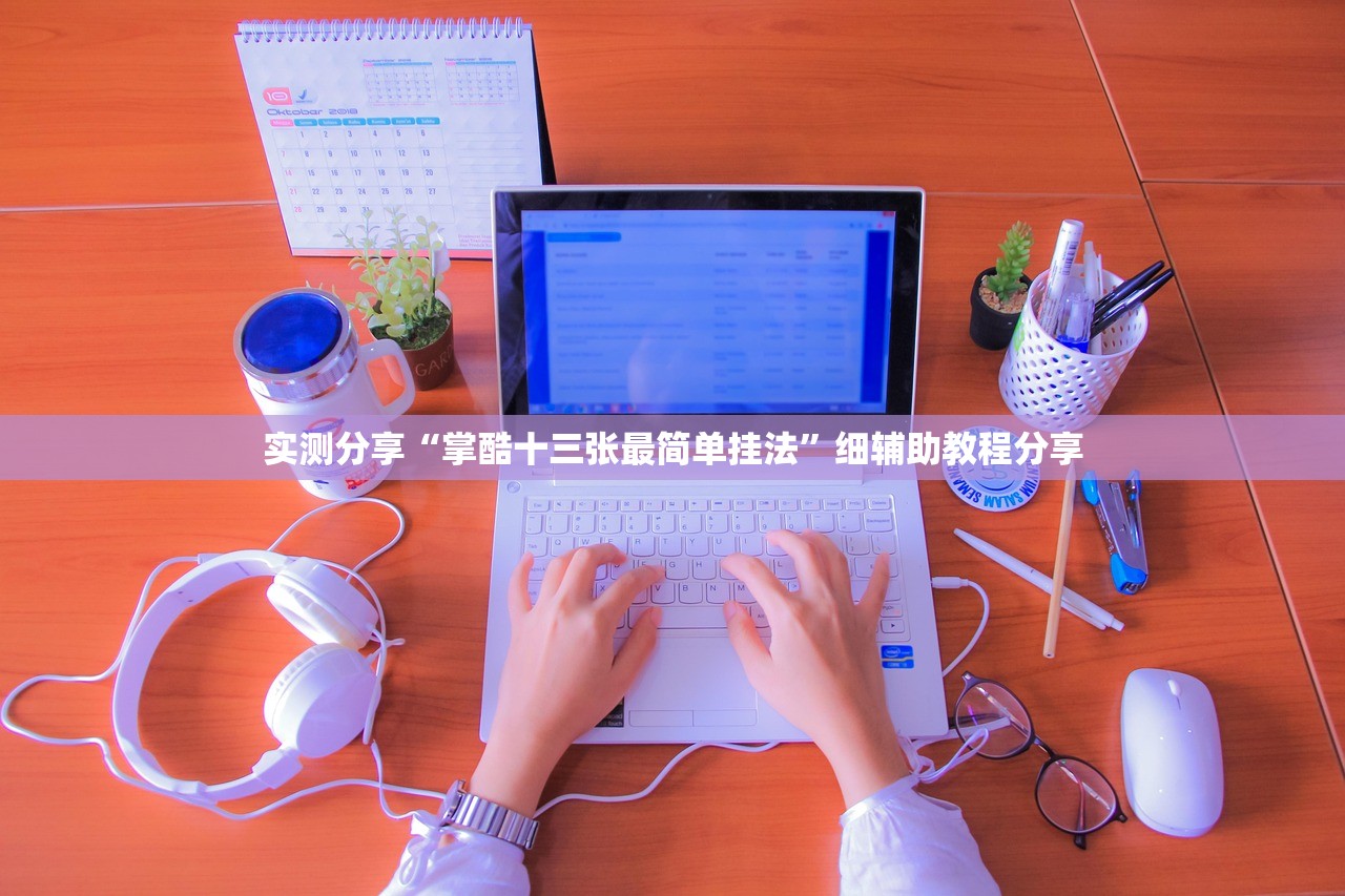 实测分享“掌酷十三张最简单挂法”细辅助教程分享
