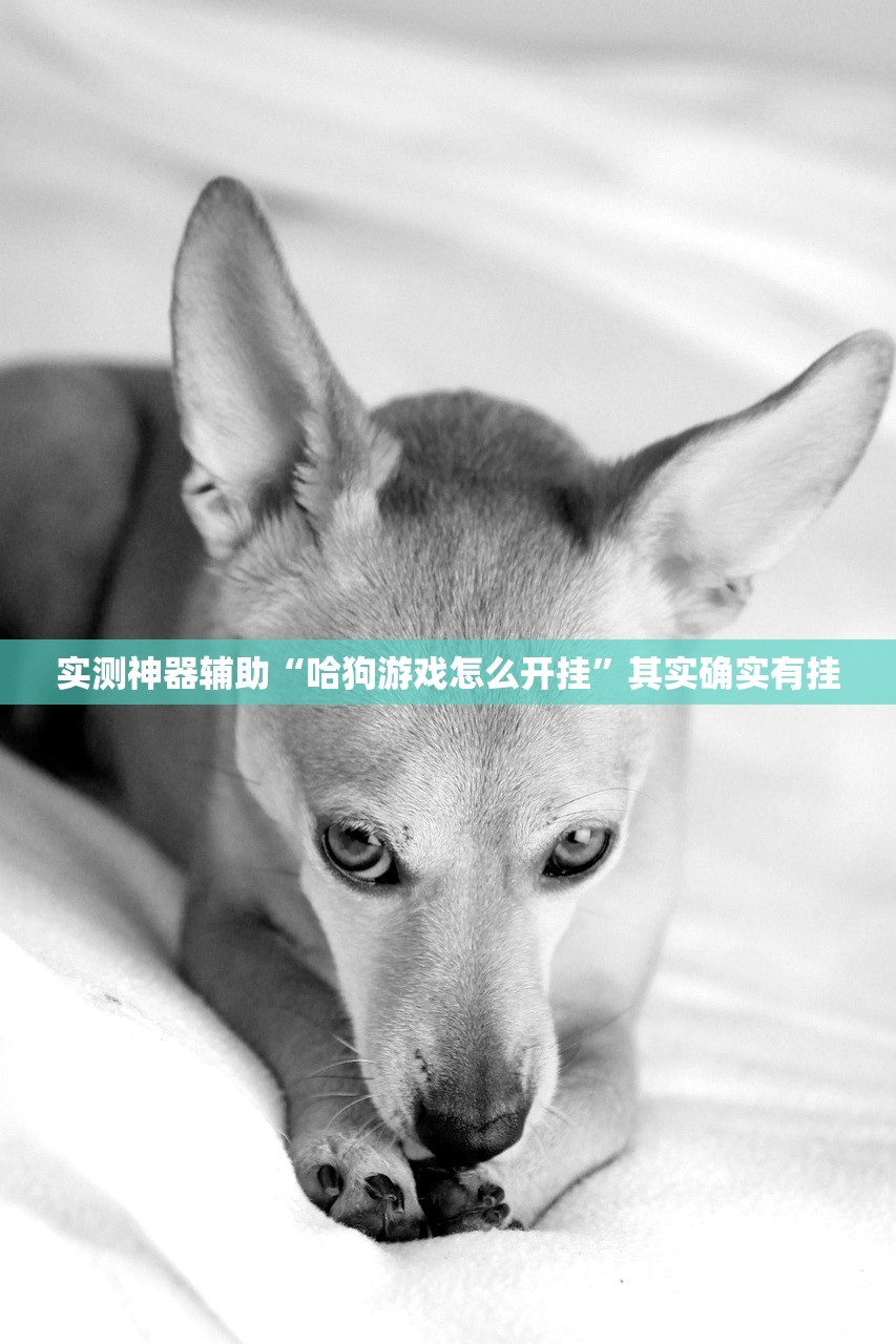 【专家:二次感染新冠风险逐渐增加/二次感染新冠病毒会怎么样】