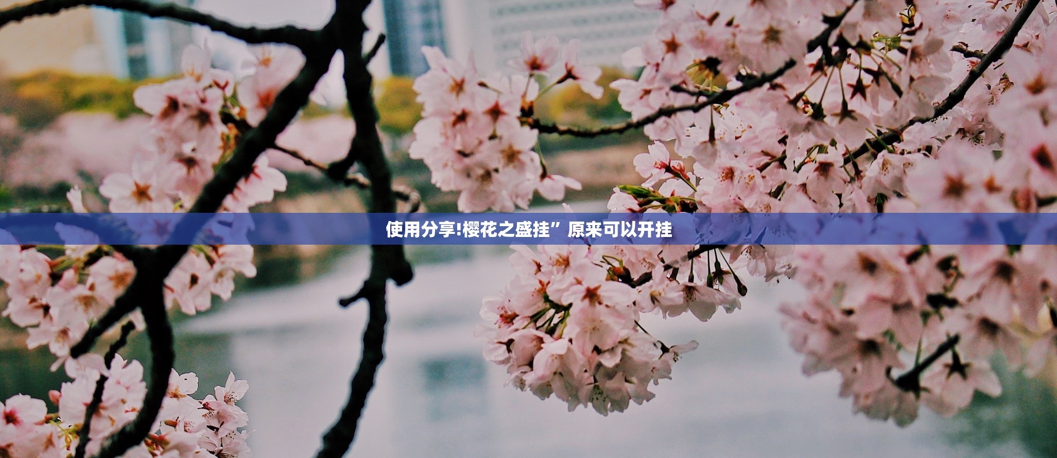 实测神器辅助“血战麻将怎么开挂”开挂(透视)最新辅助详细