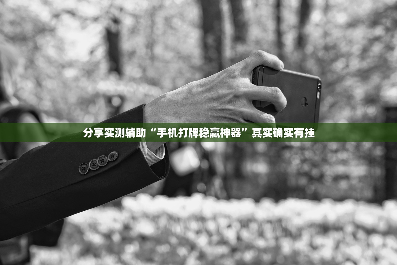 分享实测辅助“手机打牌稳赢神器”其实确实有挂