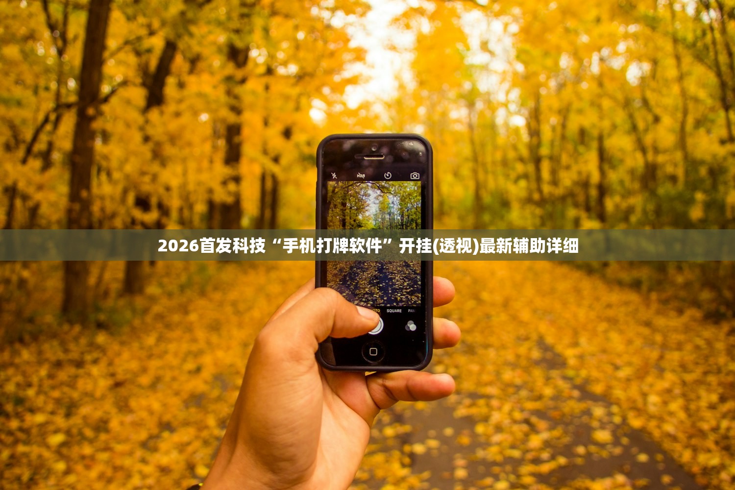 2026首发科技“手机打牌软件”开挂(透视)最新辅助详细