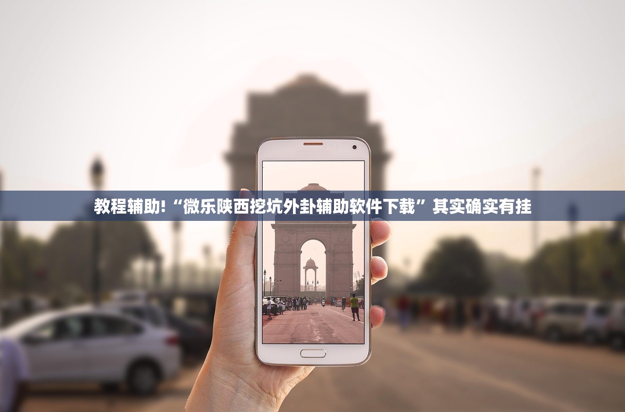 教程辅助!“微乐陕西挖坑外卦辅助软件下载”其实确实有挂