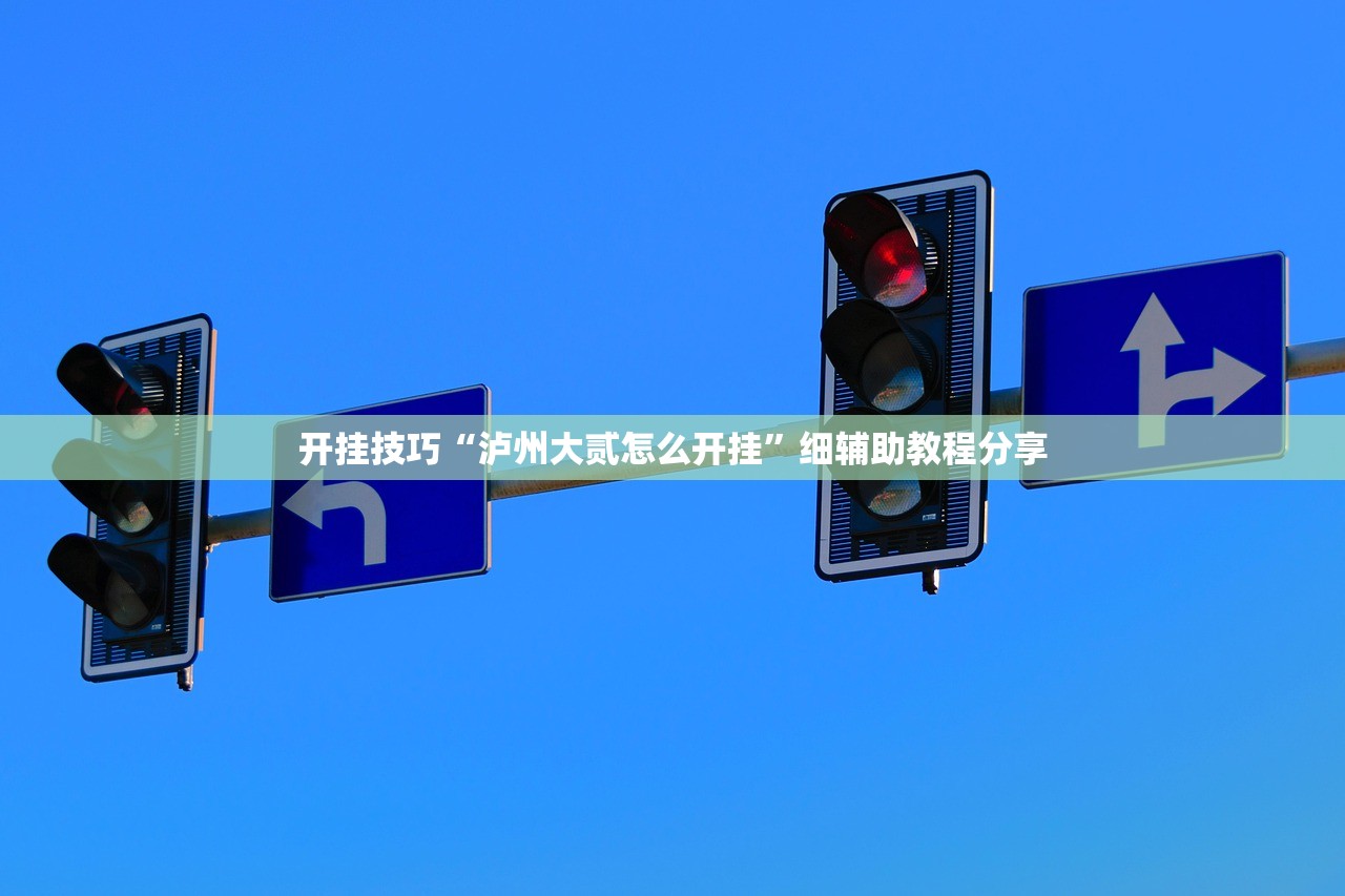 开挂技巧“泸州大贰怎么开挂”细辅助教程分享