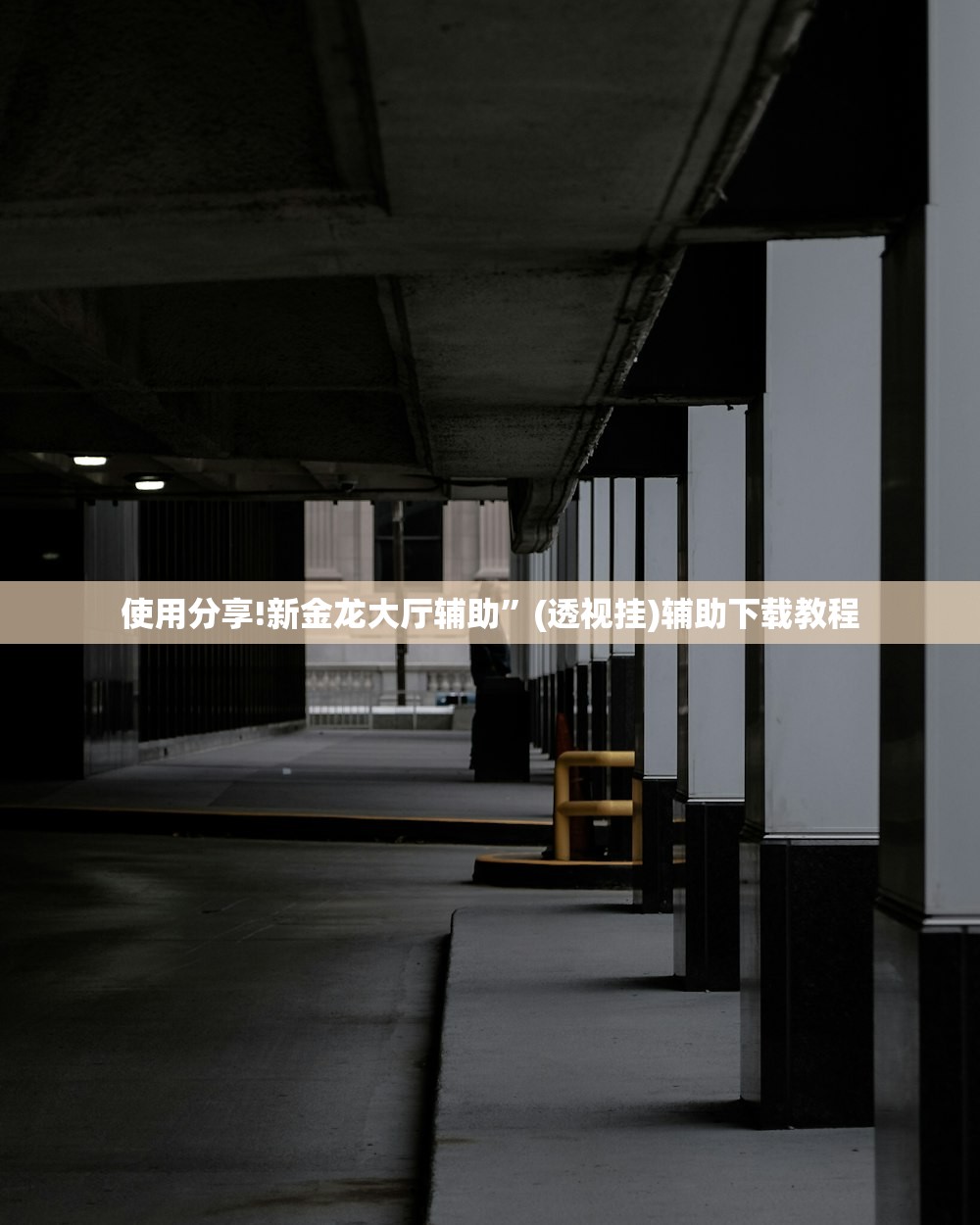 使用分享!新金龙大厅辅助”(透视挂)辅助下载教程