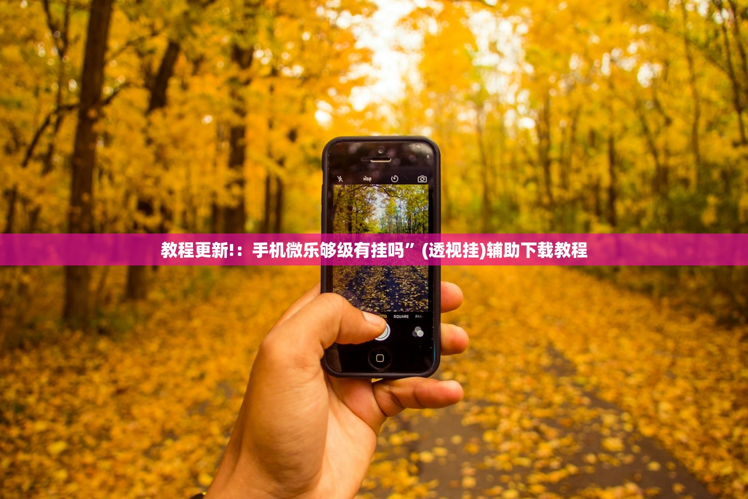 教程更新!：手机微乐够级有挂吗”(透视挂)辅助下载教程