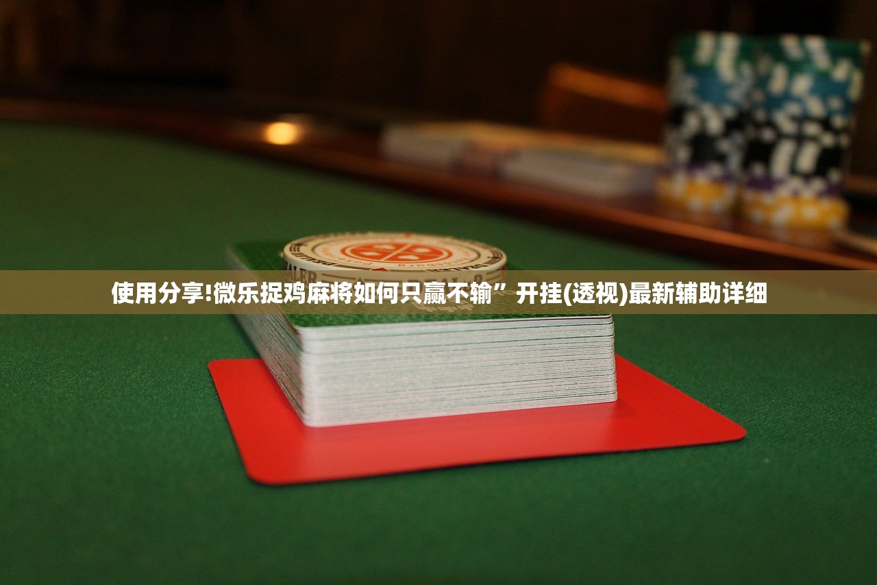 教程分享“天乐联盟可以装挂吗”详细分享装挂步骤