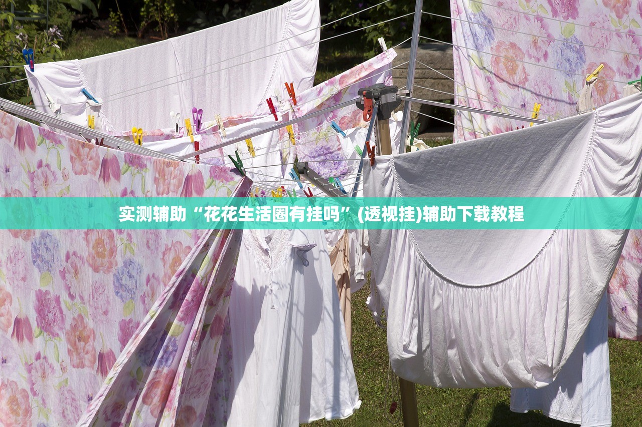 实测辅助“花花生活圈有挂吗”(透视挂)辅助下载教程