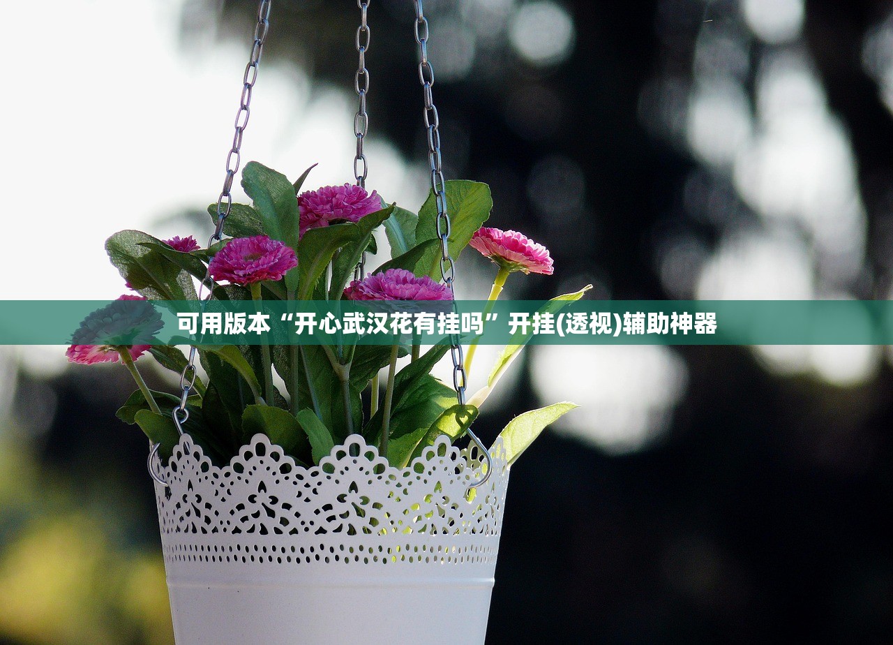 可用版本“开心武汉花有挂吗	”开挂(透视)辅助神器