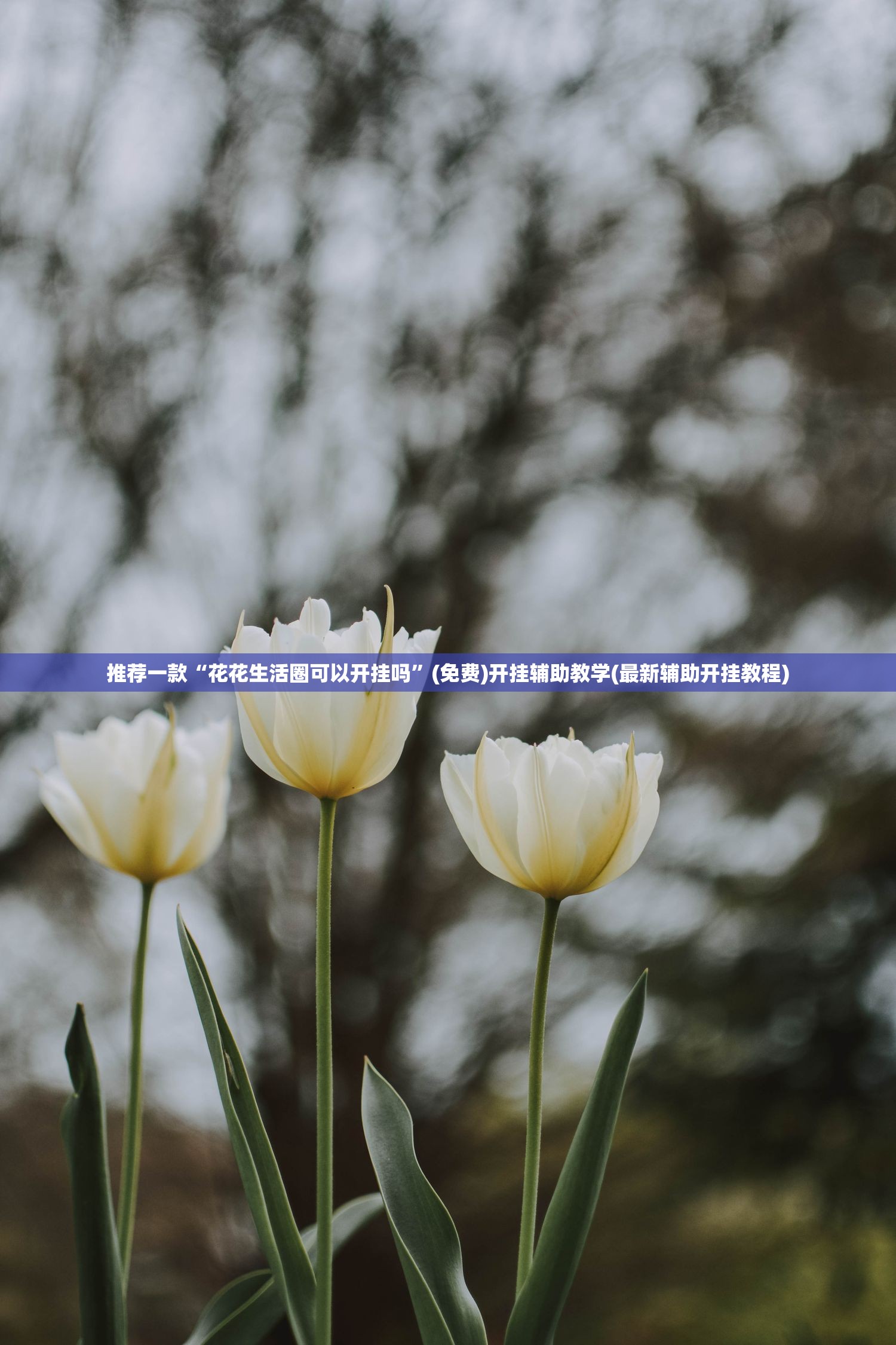 推荐一款“花花生活圈可以开挂吗”(免费)开挂辅助教学(最新辅助开挂教程)