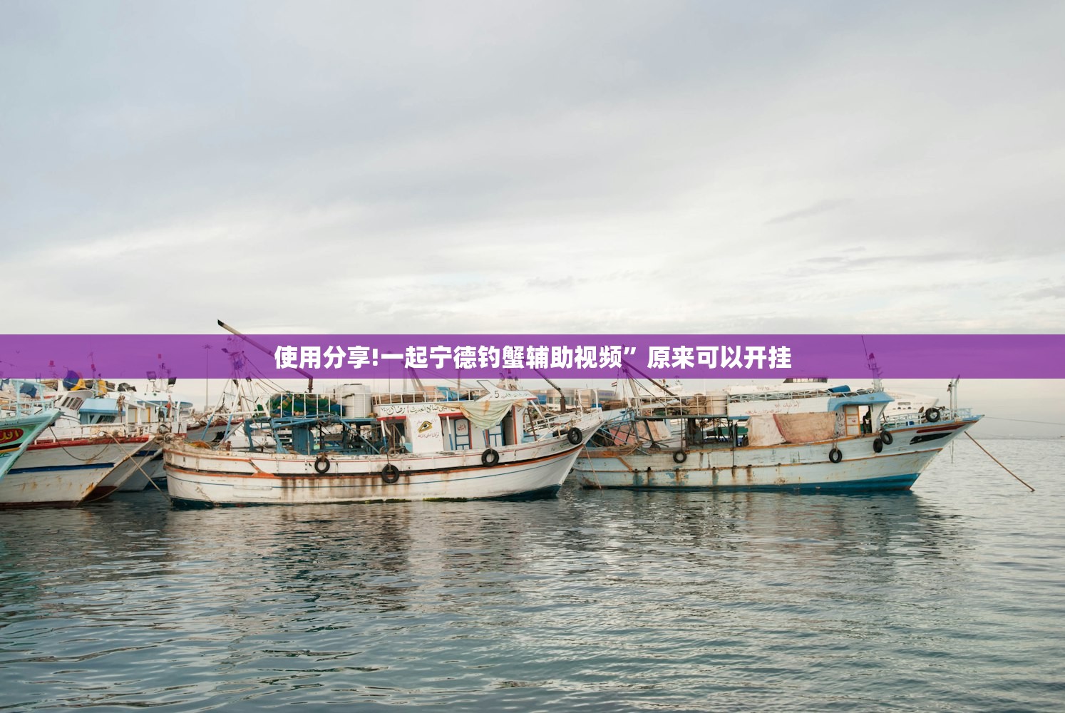 【31省份新增19例确诊/31省新增19例确诊病例】
