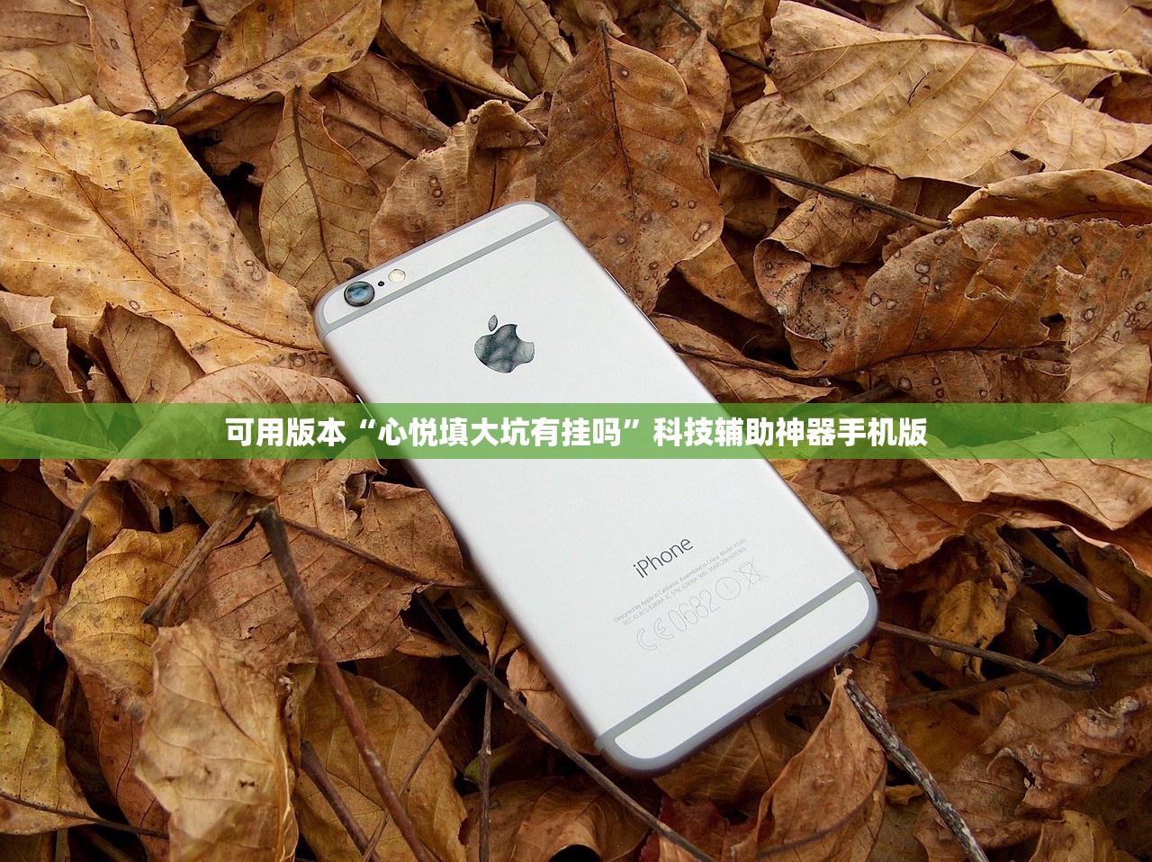 玩家辅助神器：微乐跑得快怎么开挂教程(透视)”开挂辅助脚本+详细开挂安装教程