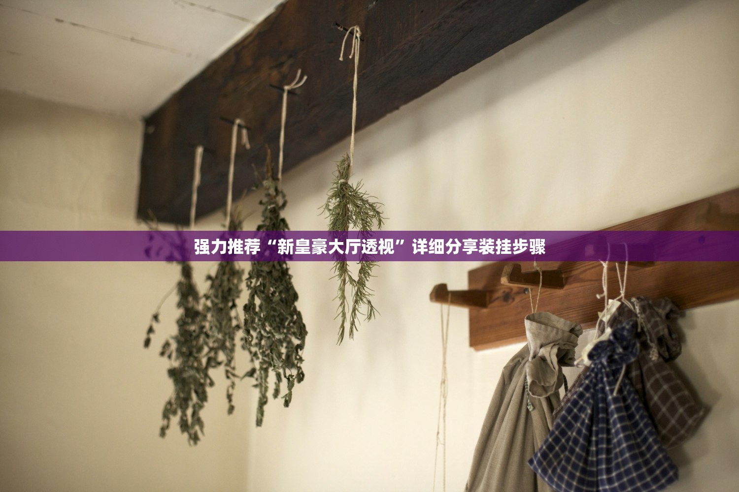 强力推荐“新皇豪大厅透视”详细分享装挂步骤