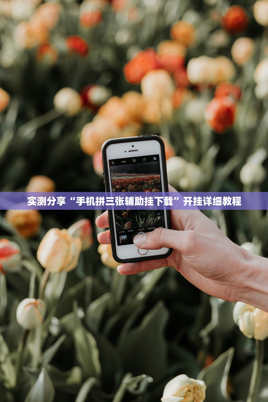 实测分享“手机拼三张辅助挂下载	”开挂详细教程