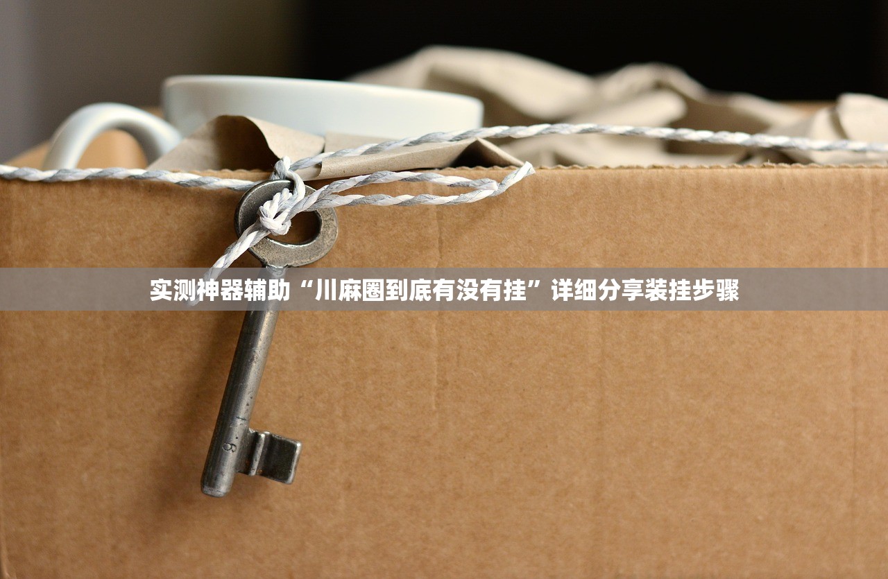 实测神器辅助“川麻圈到底有没有挂”详细分享装挂步骤