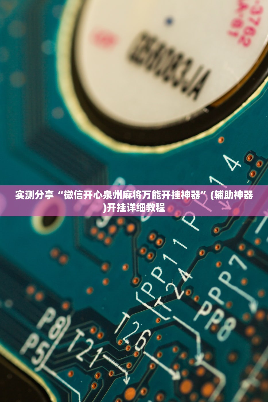 教程辅助!“微乐跑得快怎么提高胜率”(透视挂)辅助下载教程