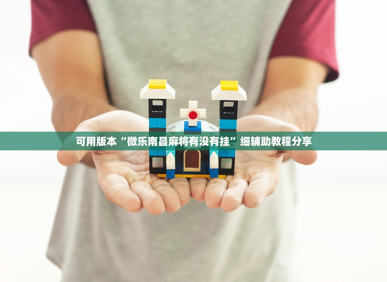 实测辅助“家乡大二可以开挂吗”2026开挂教程步骤