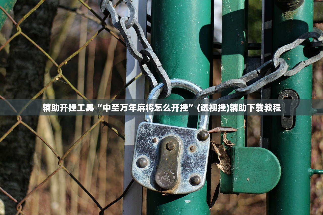 辅助开挂工具“中至万年麻将怎么开挂”(透视挂)辅助下载教程