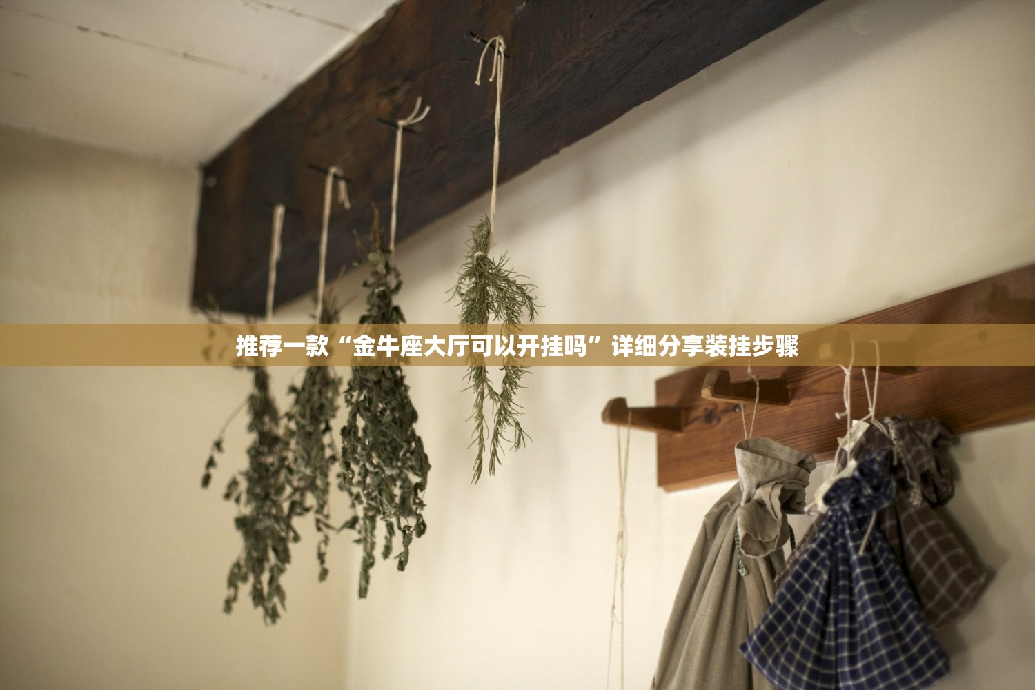 推荐一款“金牛座大厅可以开挂吗”详细分享装挂步骤