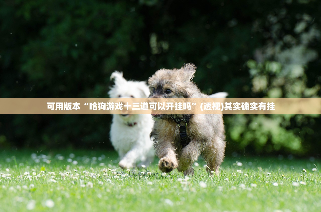 可用版本“哈狗游戏十三道可以开挂吗”(透视)其实确实有挂