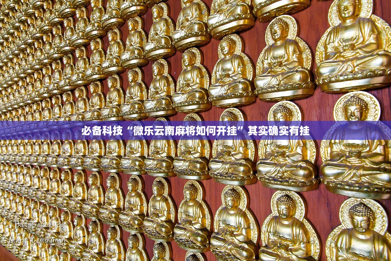 必备科技“微乐云南麻将如何开挂”其实确实有挂