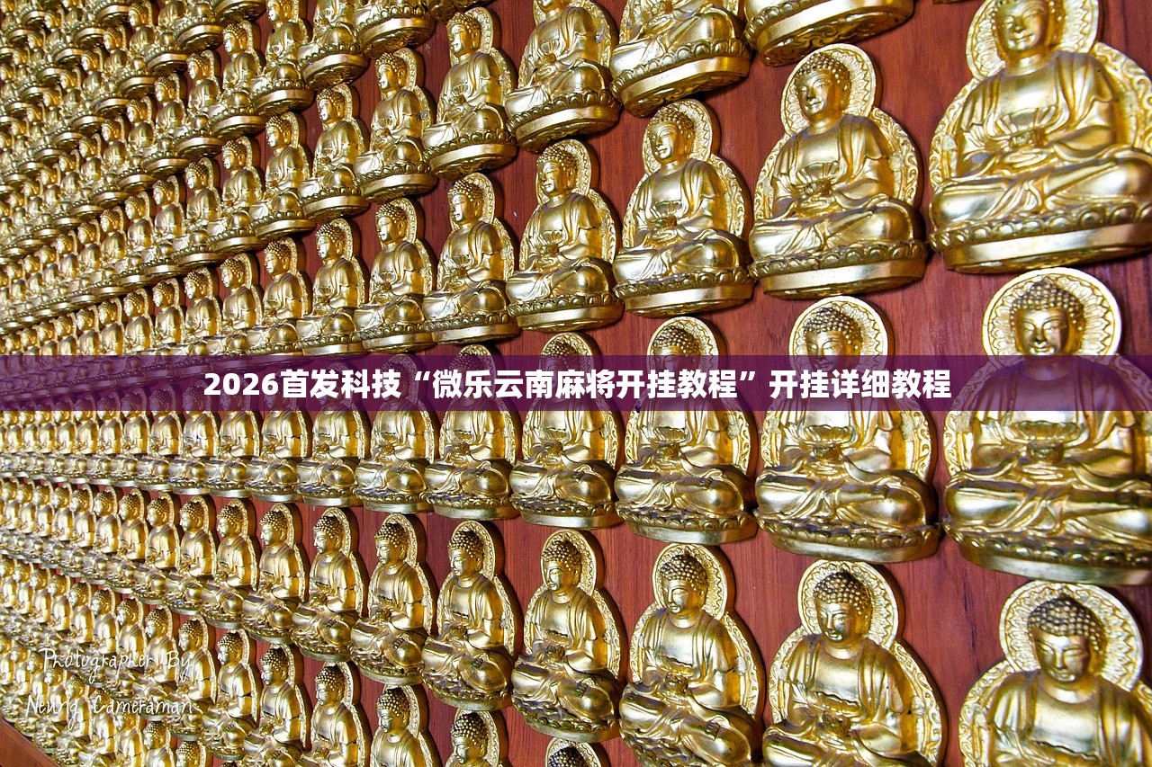 2026首发科技“微乐云南麻将开挂教程”开挂详细教程