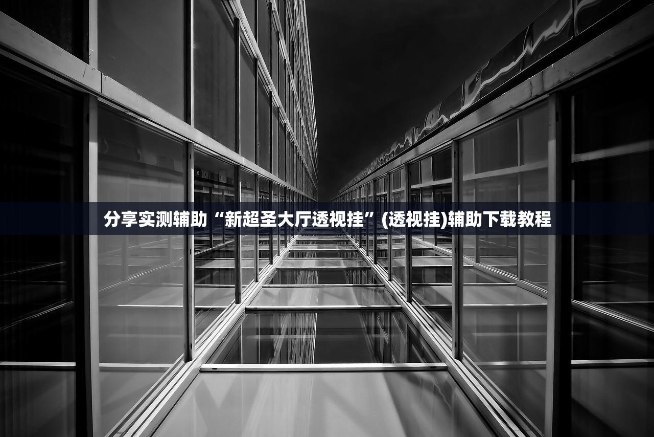分享实测辅助“新超圣大厅透视挂”(透视挂)辅助下载教程