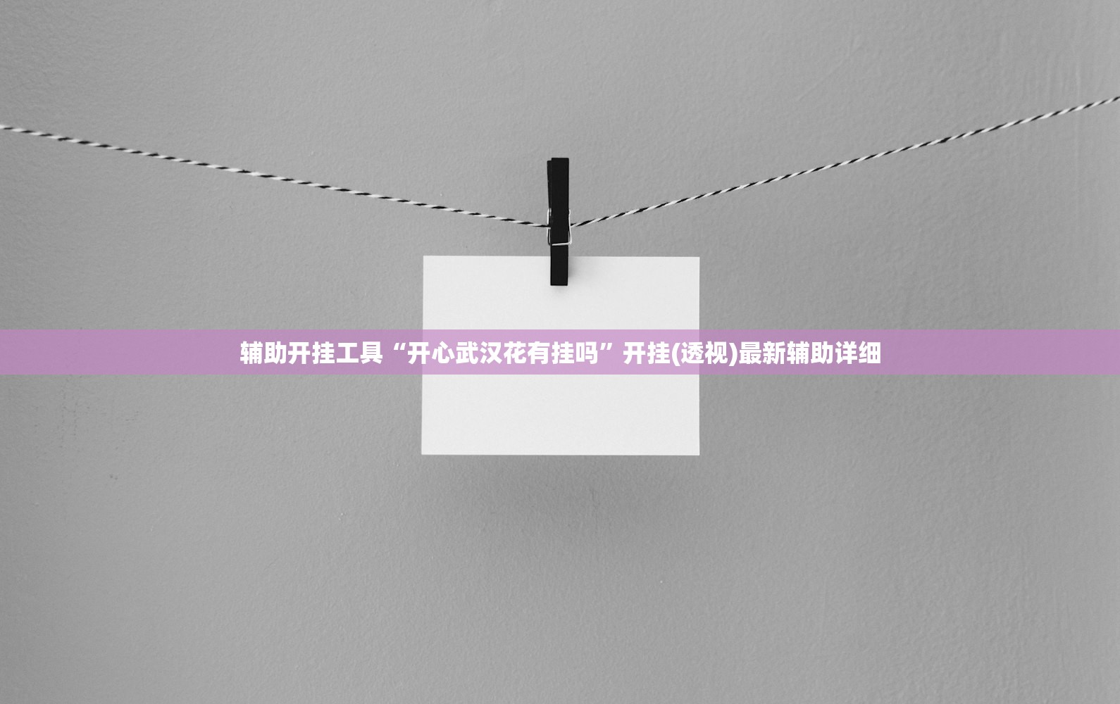 辅助开挂工具“开心武汉花有挂吗”开挂(透视)最新辅助详细