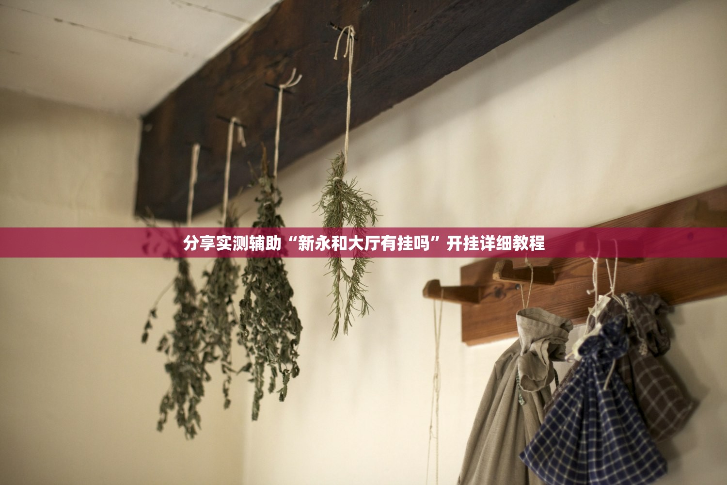 一键必胜“金乐桃可以开挂吗(透视)”开挂辅助脚本+详细开挂安装教程