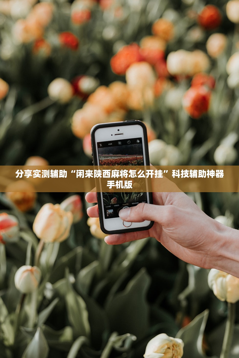 分享实测辅助“闲来陕西麻将怎么开挂”科技辅助神器手机版