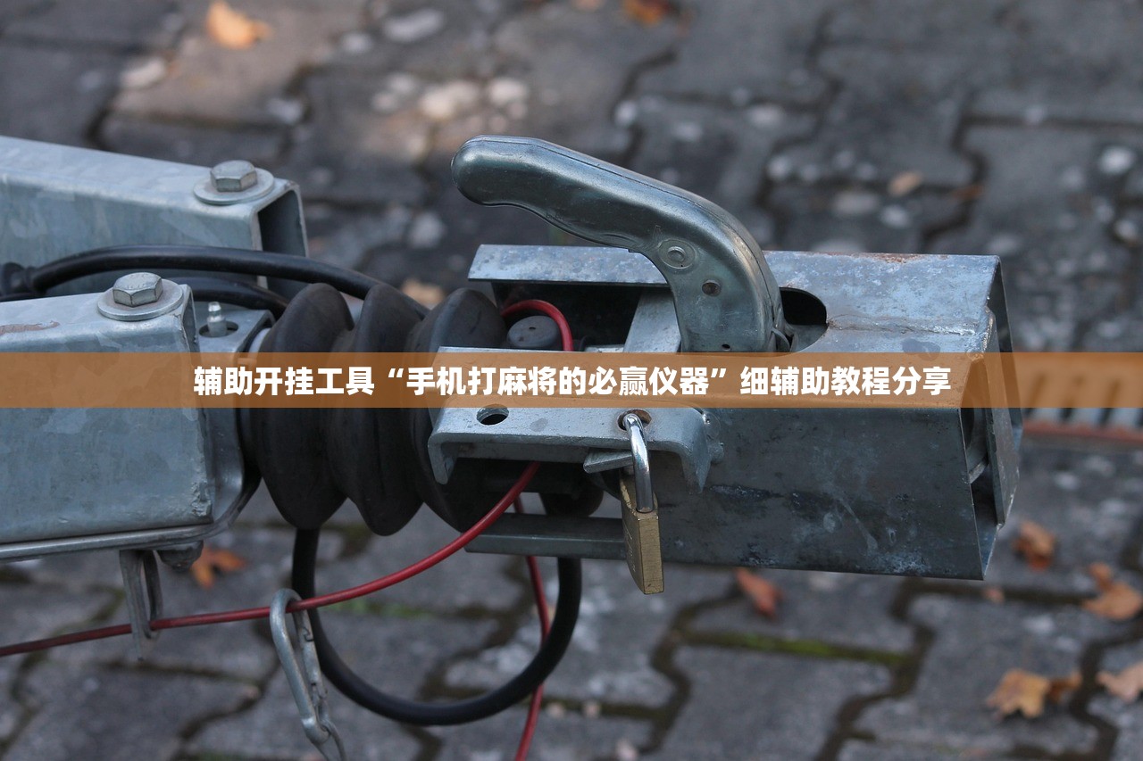 辅助开挂工具“手机打麻将的必赢仪器”细辅助教程分享